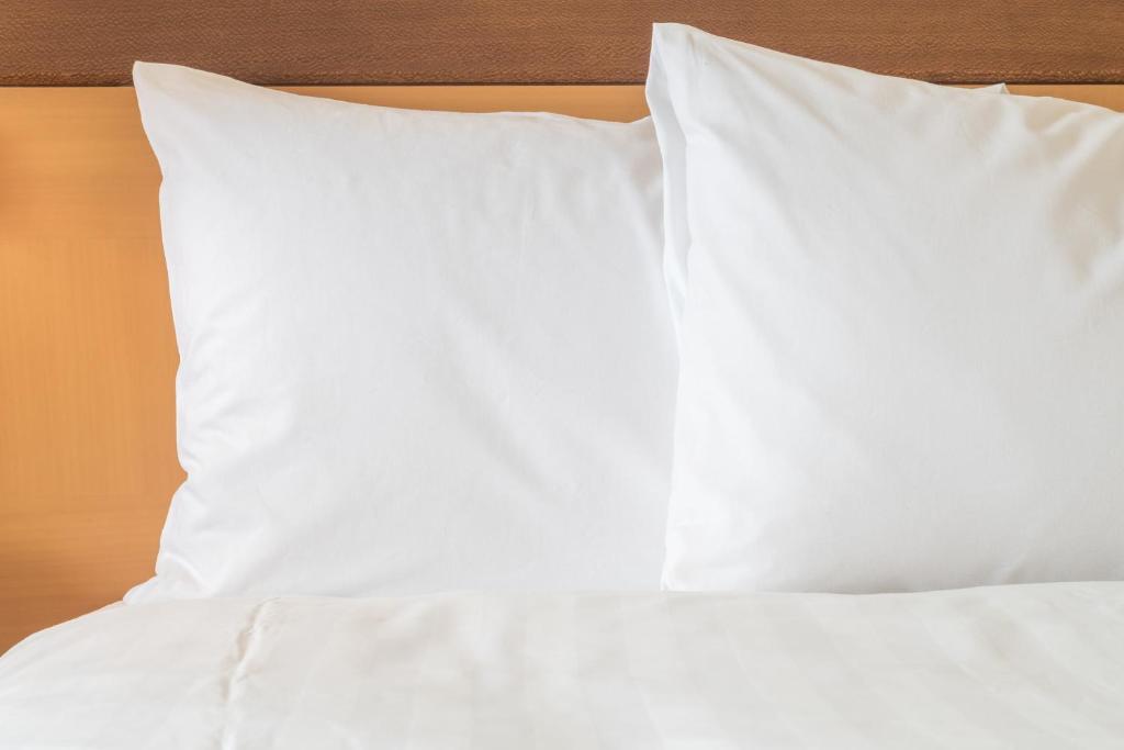 Holiday Inn Express & Suites Orlando International Airport an IHG Hotel image 25
